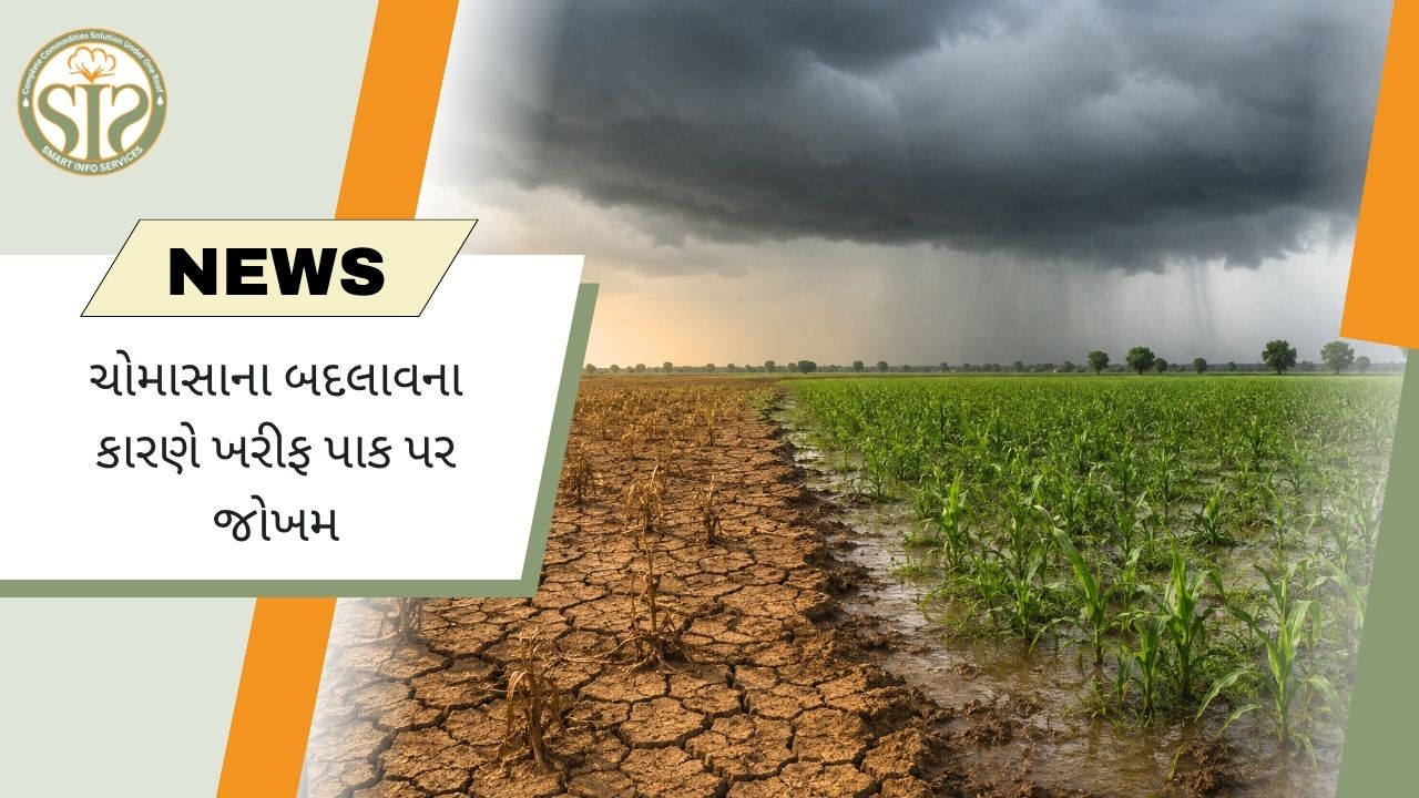 નબળા ચોમાસાથી ખરીફ પાક પર ખતરો