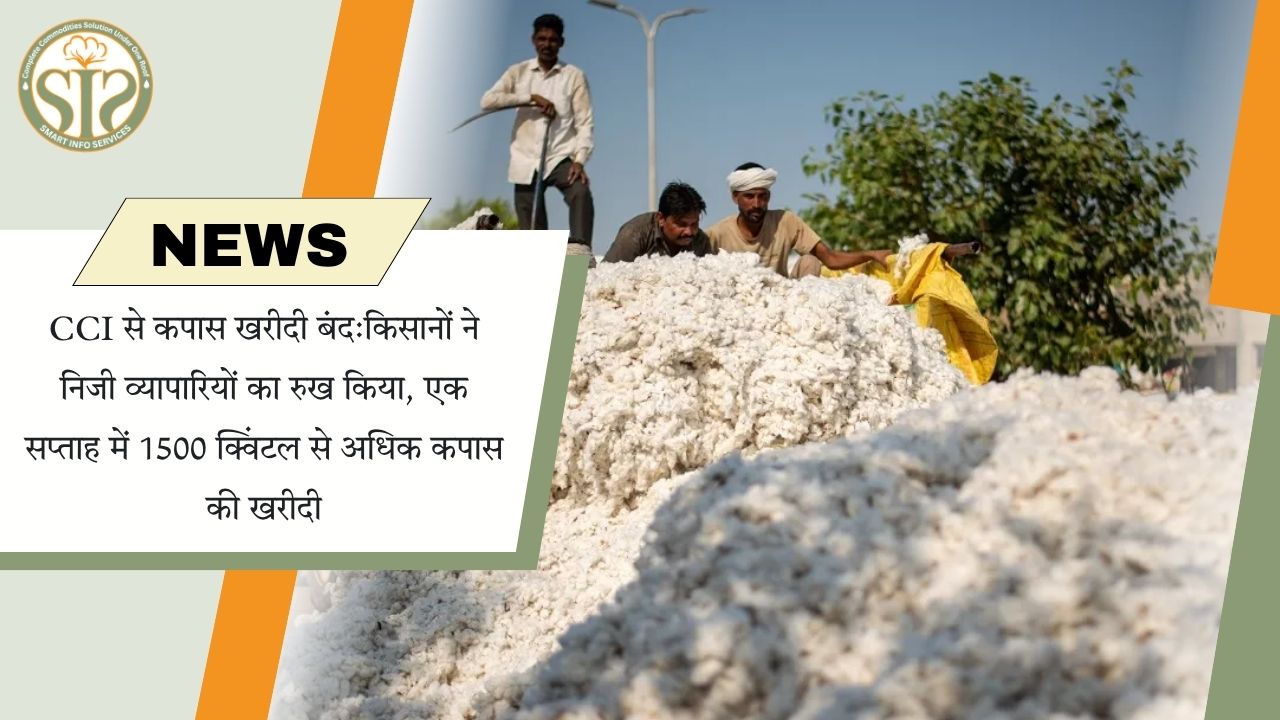 CCI बंद, कपास खरीद निजी बाजार में शिफ्ट