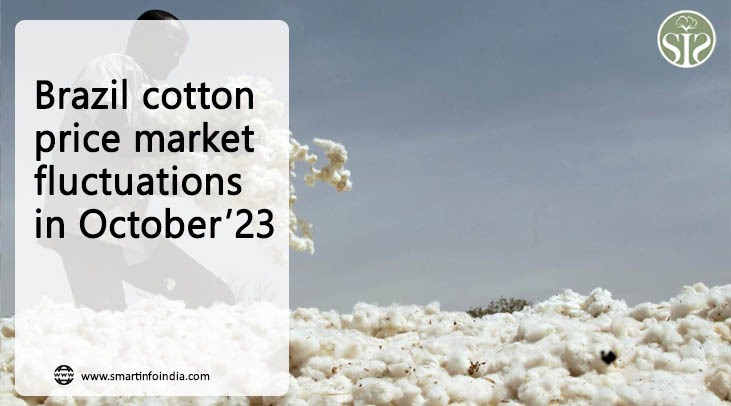 Brazil cotton price market fluctuations in October’23