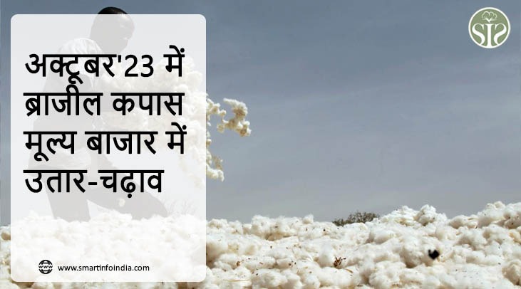 अक्टूबर'23 में ब्राजील कपास मूल्य बाजार में उतार-चढ़ाव