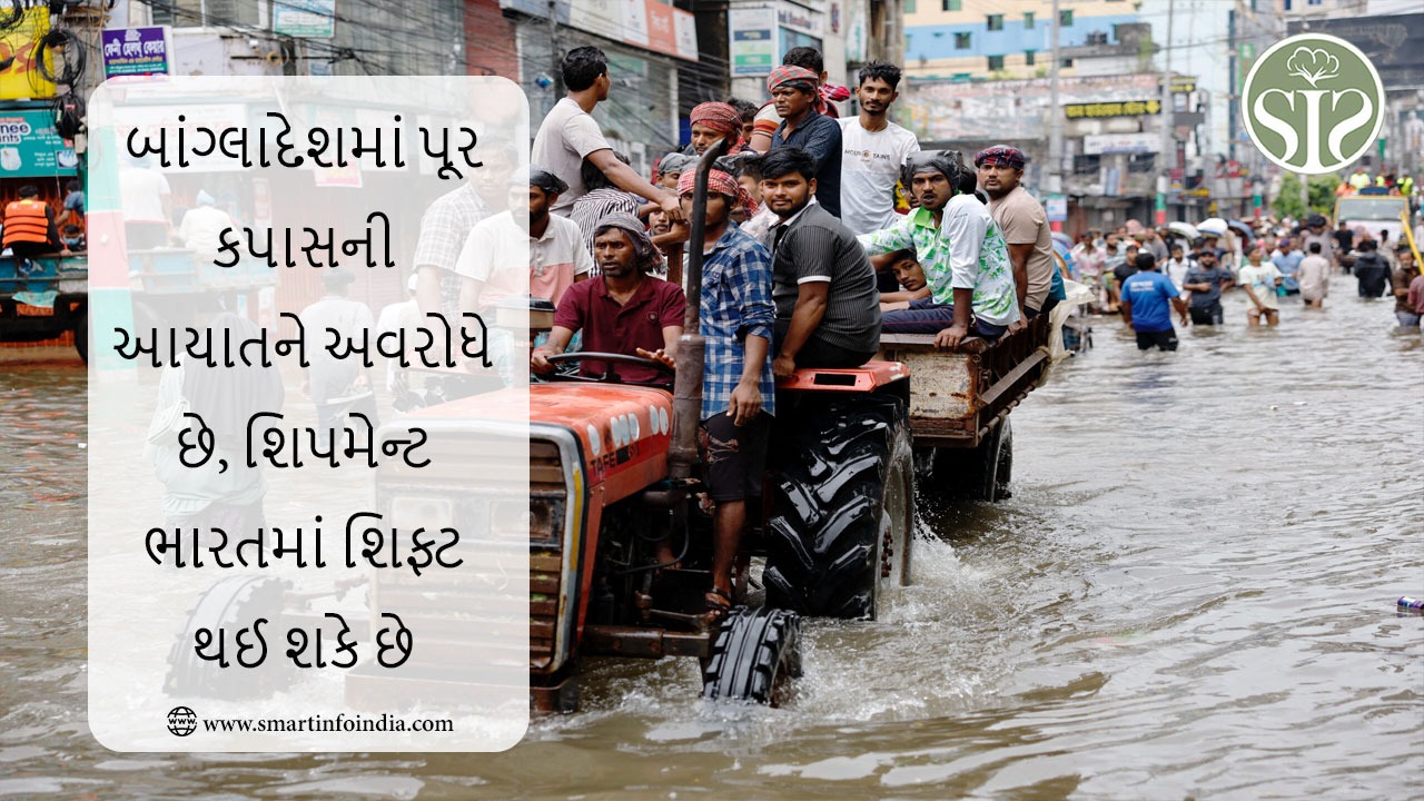 બાંગ્લાદેશમાં પૂરના કારણે કપાસની આયાત ખોરવાઈ, શિપમેન્ટ ભારતમાં શિફ્ટ થઈ શકે છે