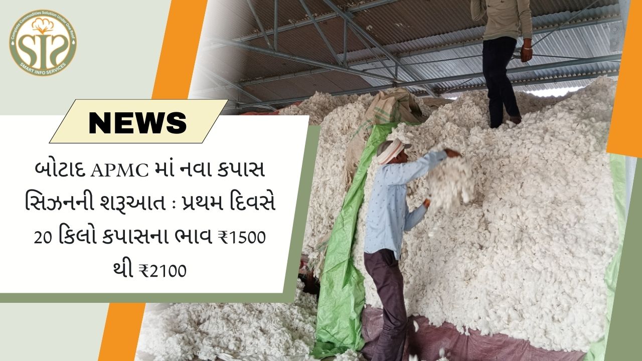 ગુજરાતઃ બોટાદ APMCમાં કપાસની સિઝનનો પ્રારંભઃ