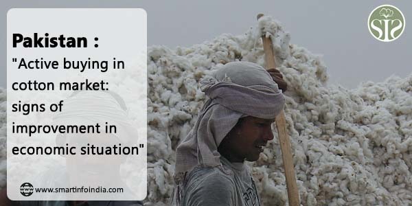 Pakistan :"Active buying in cotton market: signs of improvement in economic situation"