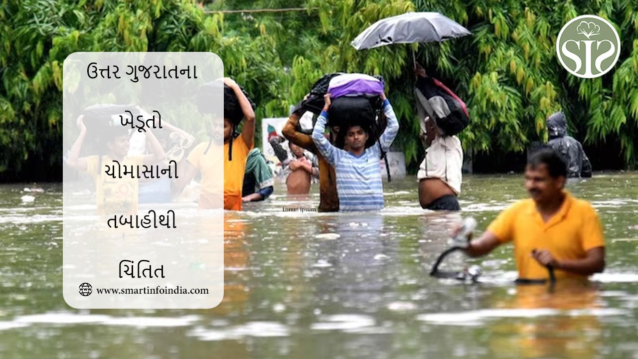 ઉત્તર ગુજરાતના ખેડૂતો ચોમાસાની તબાહીથી ચિંતિત