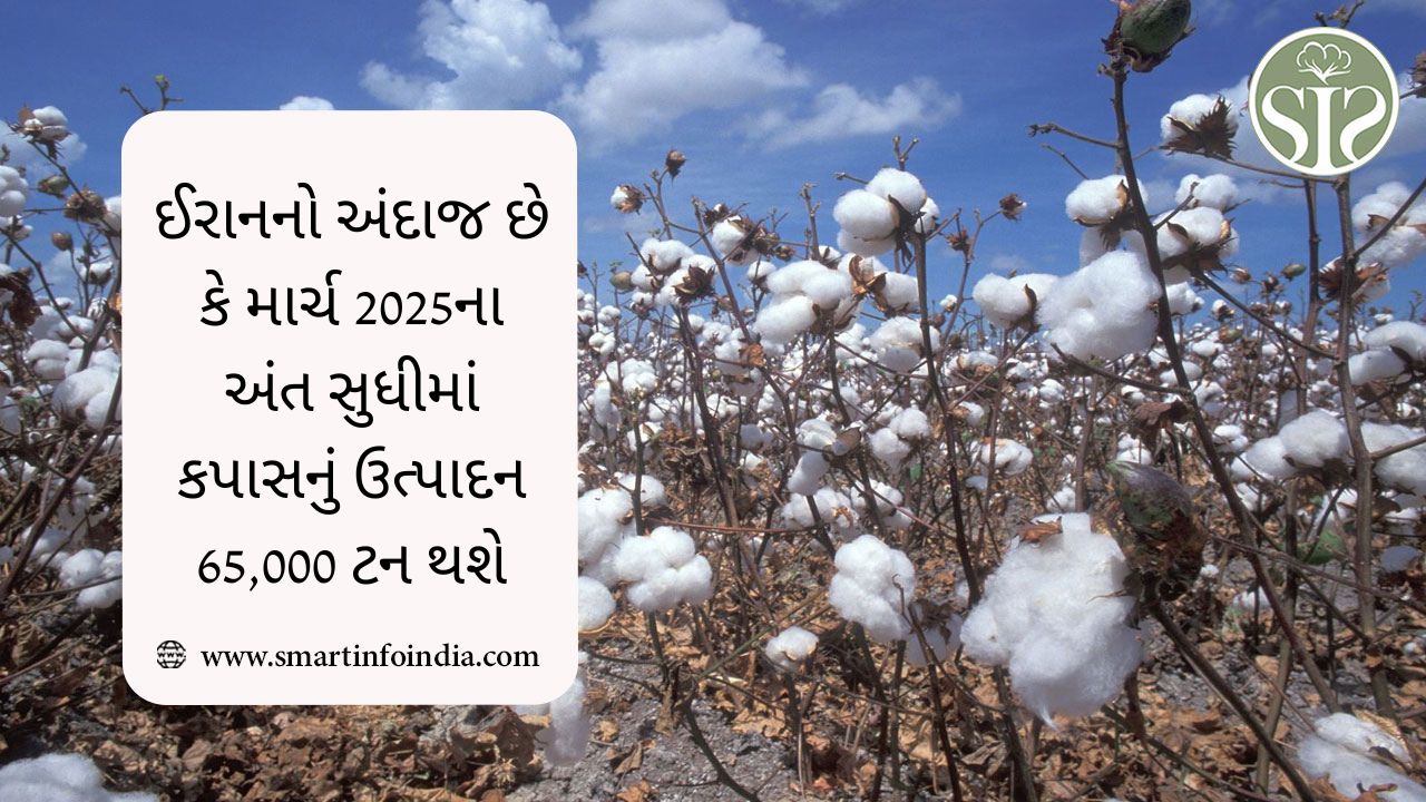 ઈરાનનો અંદાજ છે કે માર્ચ 2025ના અંત સુધીમાં કપાસનું ઉત્પાદન 65,000 ટન થશે