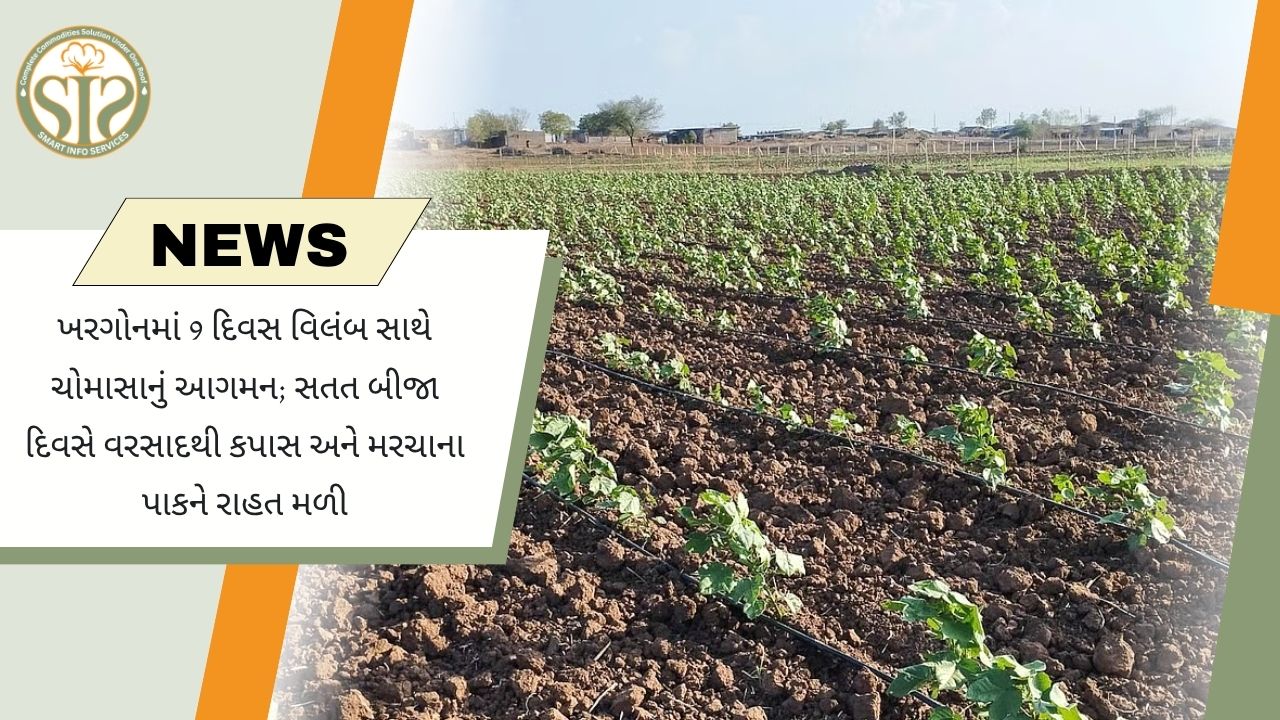 9 દિવસ મોડું ખરગોન પહોંચ્યું ચોમાસું
