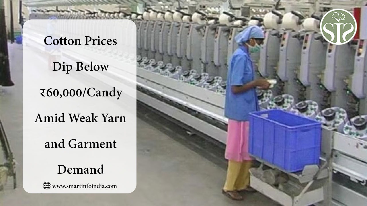 Cotton Prices Dip Below ₹60,000/Candy Amid Weak Yarn and Garment Demand