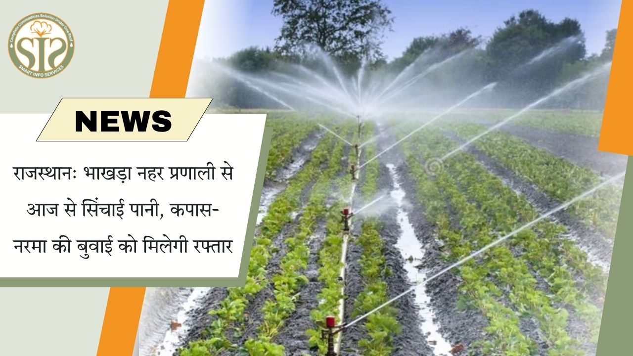 राजस्थान में भाखड़ा नहर से सिंचाई जल आपूर्ति शुरू, कपास और नरमा की बुवाई को मिलेगा बढ़ावा