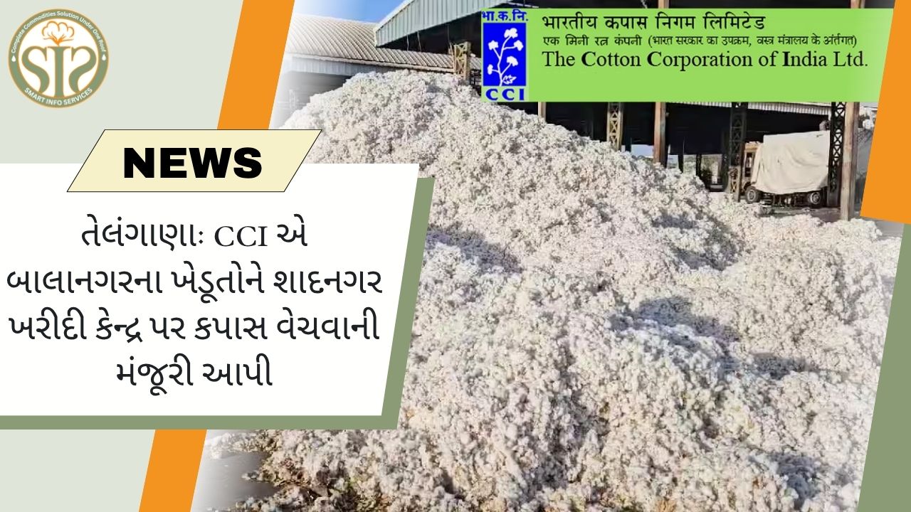 CCI એ બાલાનગરના ખેડૂતોને શાદનગરમાં કપાસ વેચવાની મંજૂરી આપી