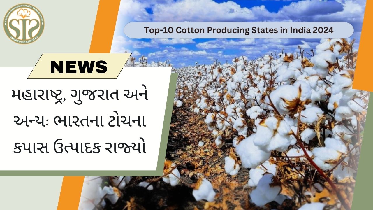 ભારતના મુખ્ય કપાસ ઉત્પાદક રાજ્યો