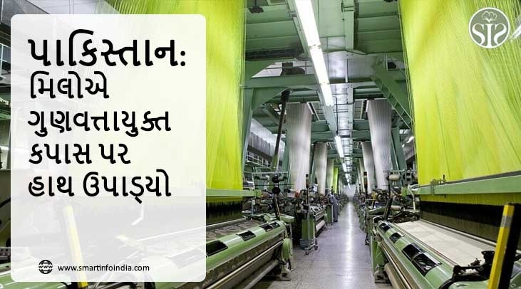 પાકિસ્તાન: મિલોએ ગુણવત્તાયુક્ત કપાસ પર હાથ ઉપાડ્યો