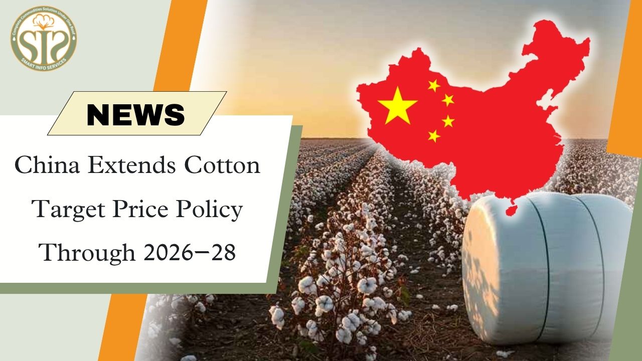 China Extends Cotton Support Policy Through 2028