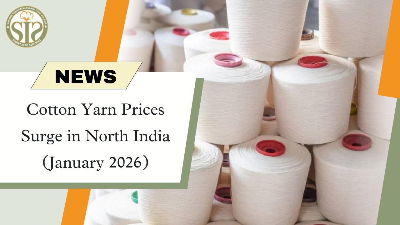 Cotton yarn prices surged in North India in January 2026.
