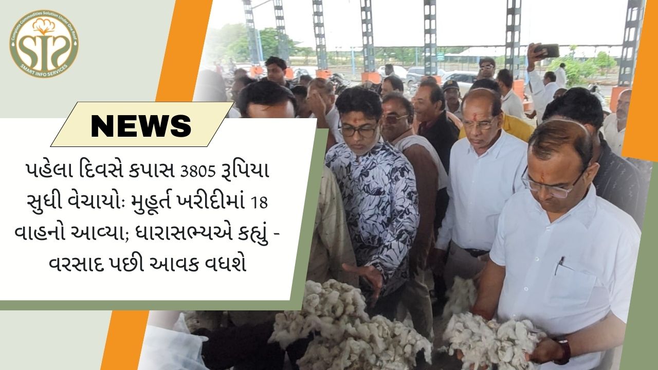 મુહૂર્ત સેલમાં 18 વાહનો આવ્યા, કપાસ 3805 રૂપિયામાં વેચાયો