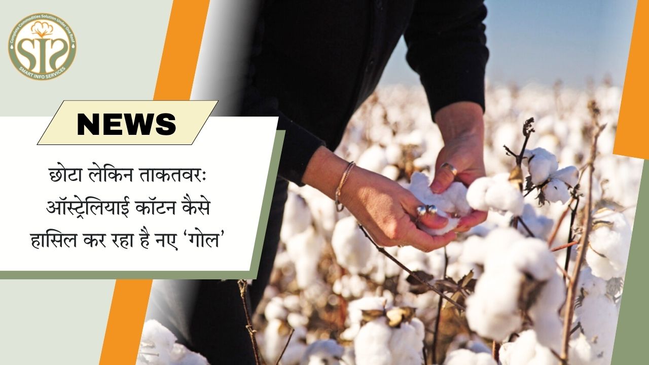 गुणवत्ता से ऑस्ट्रेलियाई कपास को बढ़त