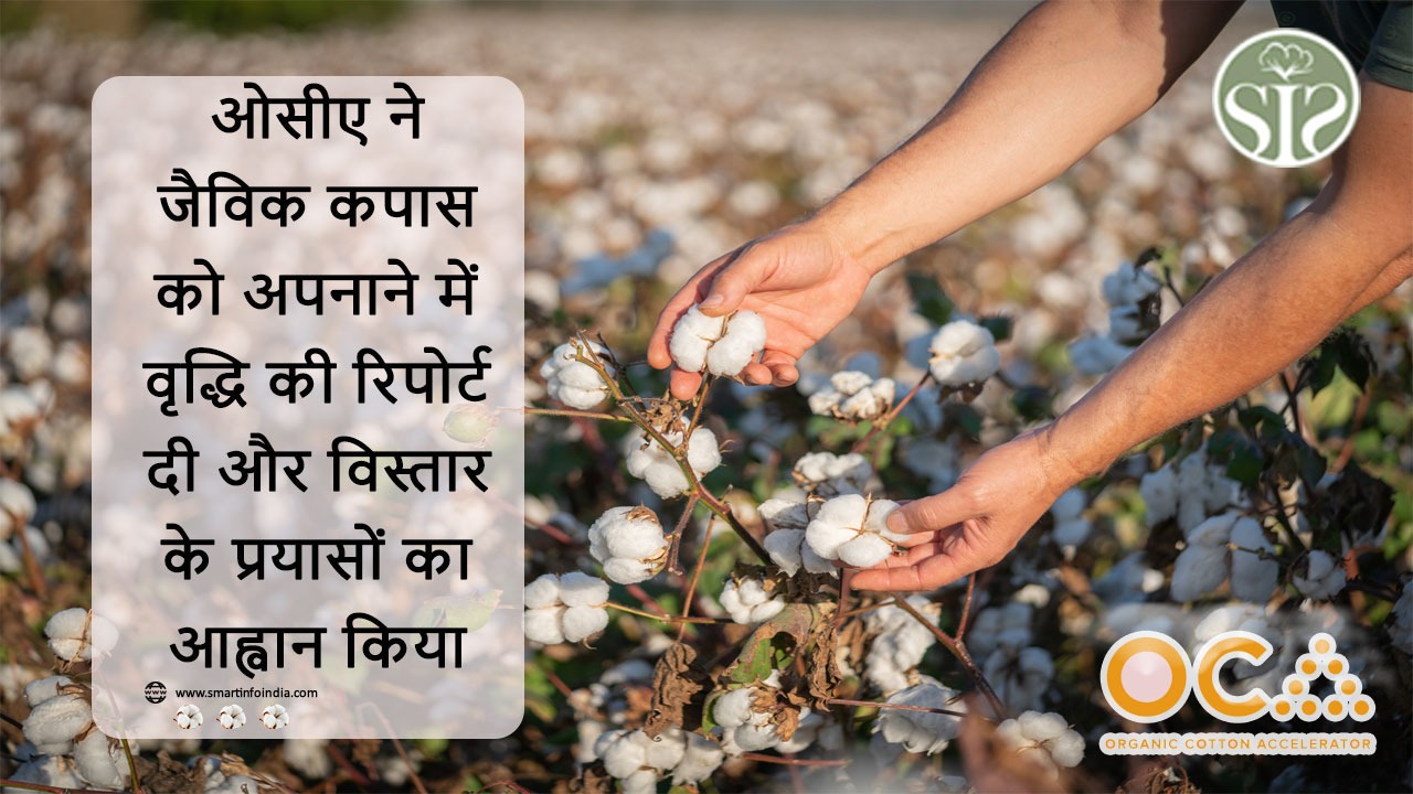 ओसीए ने जैविक कपास को अपनाने में वृद्धि की रिपोर्ट दी और विस्तार के प्रयासों का आह्वान किया