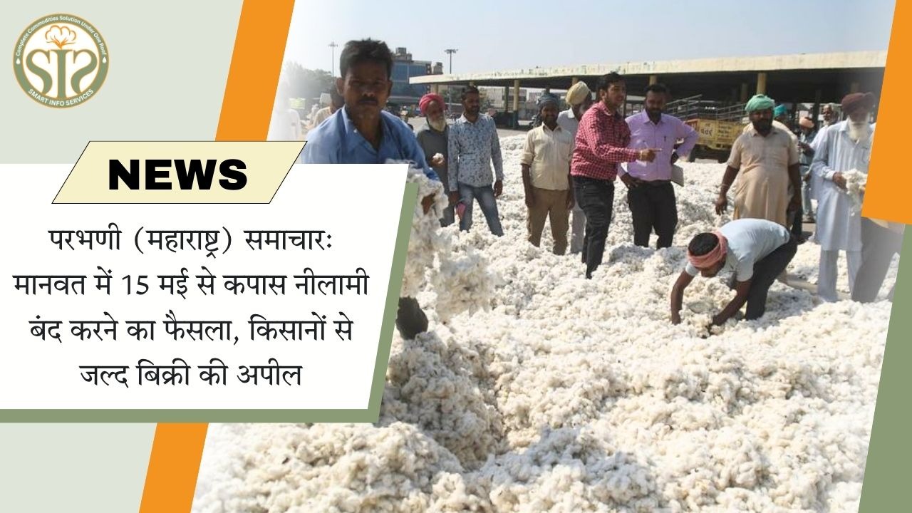 परभणी (महाराष्ट्र) समाचार: मानवत में 15 मई से कपास नीलामी बंद, किसानों से जल्द बिक्री की अपील