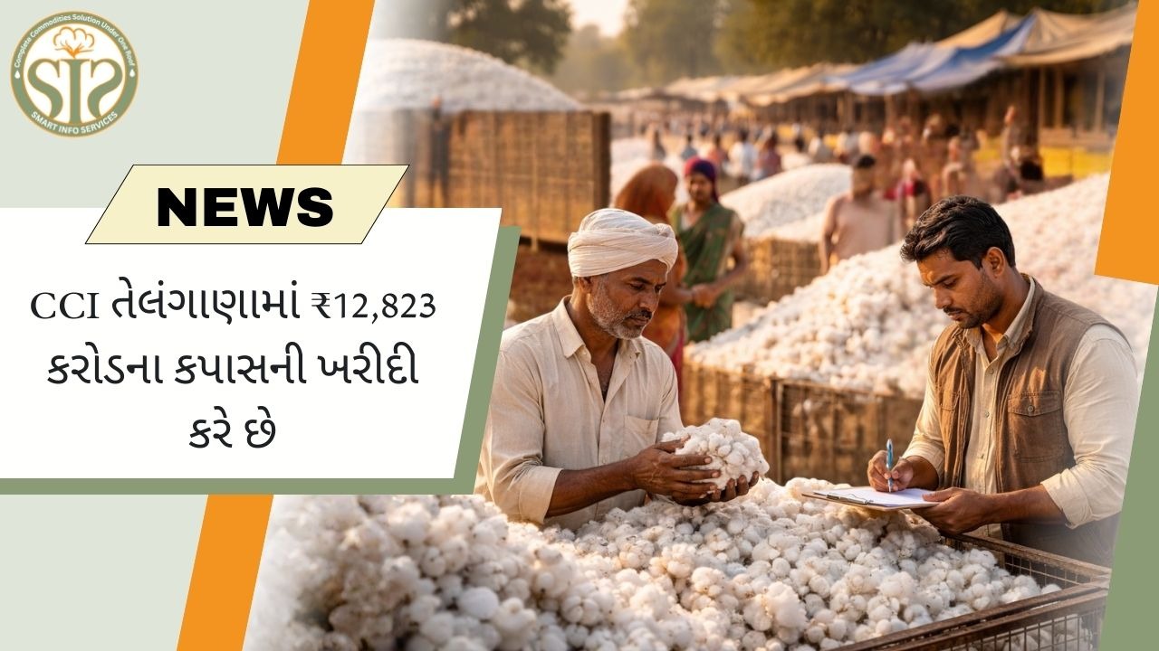 CCI તેલંગાણામાં ₹12,823 કરોડનો કપાસ ખરીદે છે
