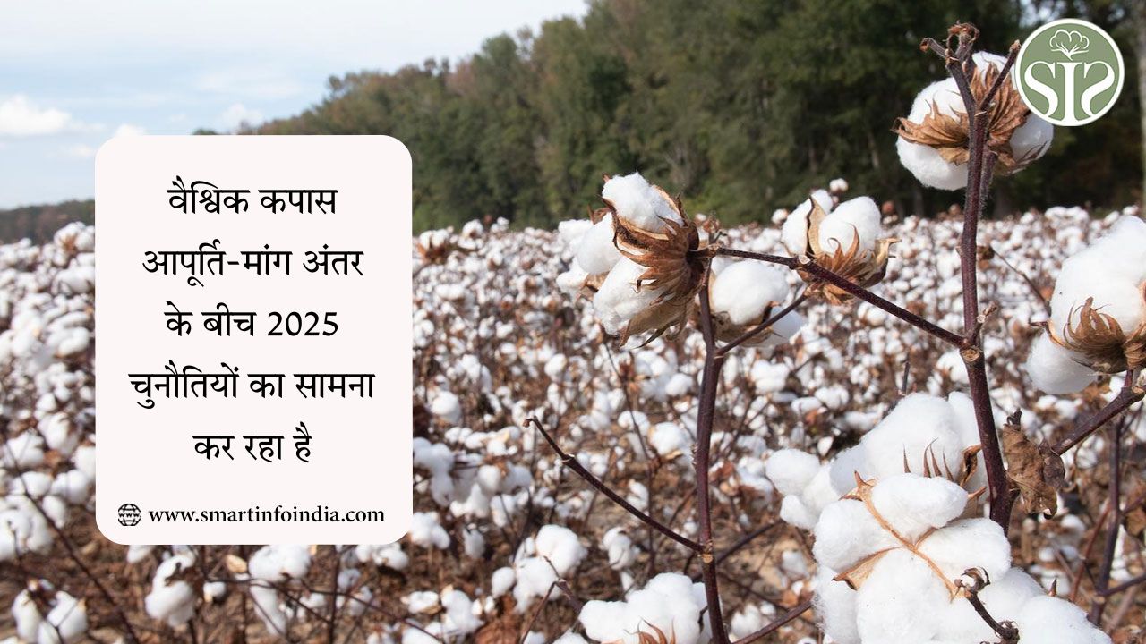 वैश्विक कपास आपूर्ति-मांग अंतर के बीच 2025 चुनौतियों का सामना कर रहा है