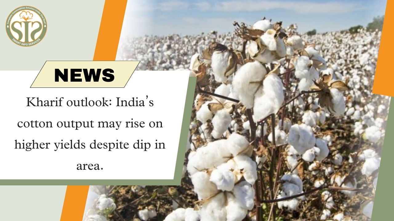 Kharif outlook: India’s cotton output may rise on higher yields despite dip in area.