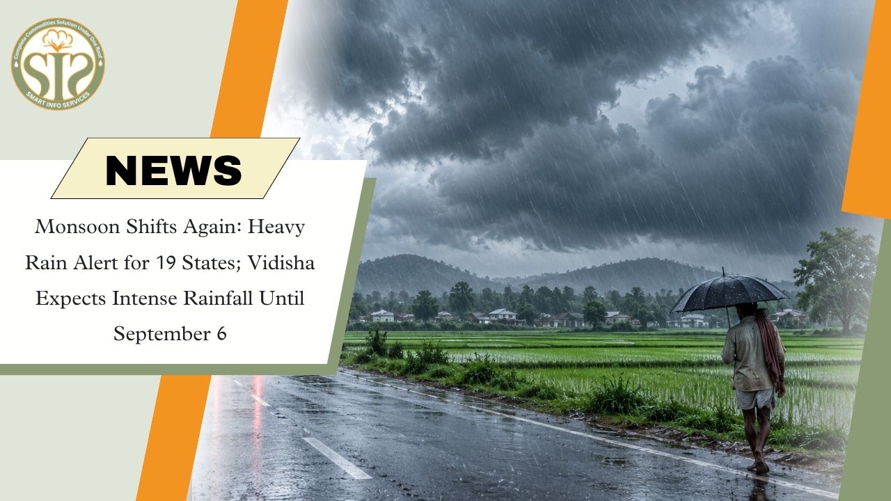 Heavy Rain Alert for 19 States