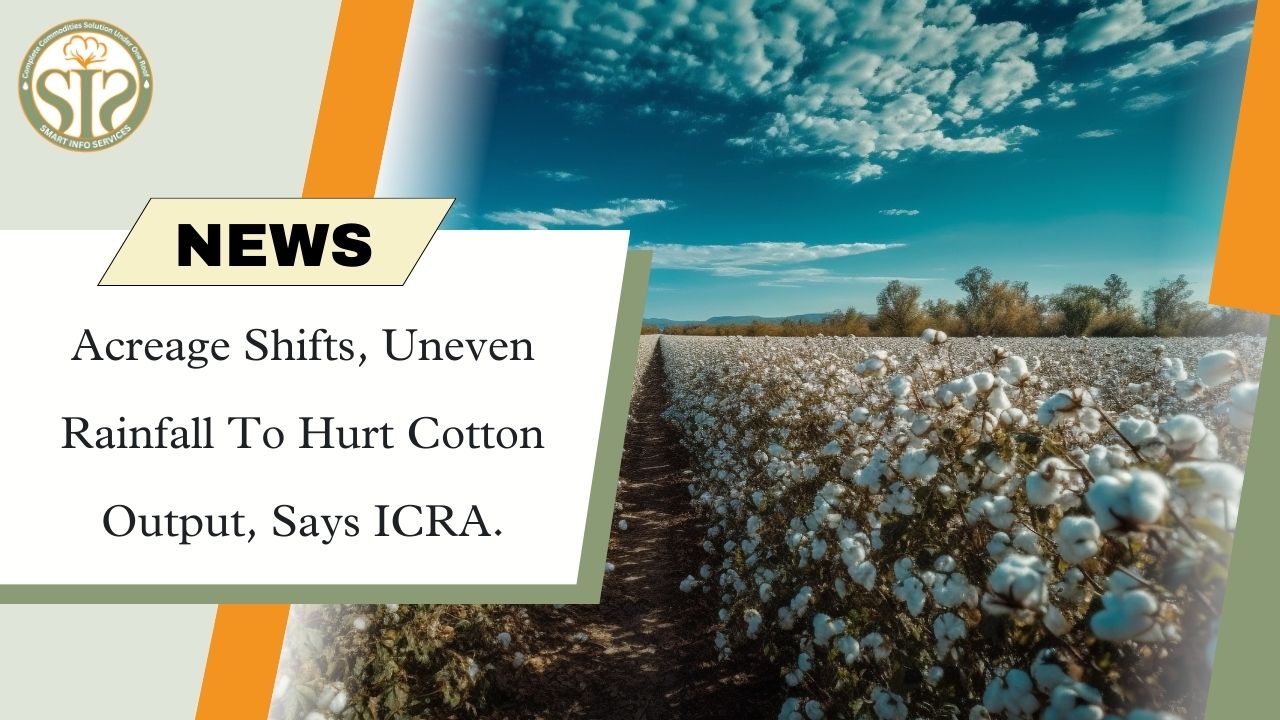 ICRA's warning: Cotton production to take a hit.