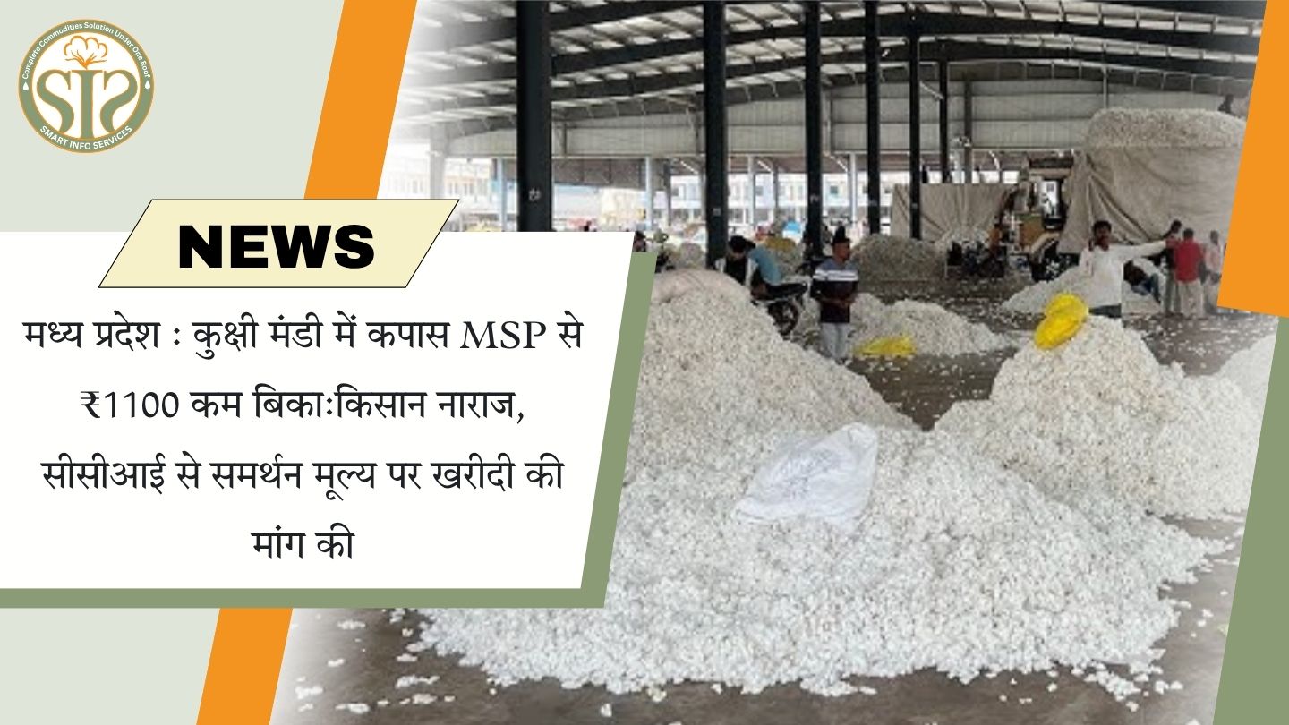 कुकशी मंडी में कपास एमएसपी से ₹1100 कम, किसानों की सीसीआई से खरीद की मांग
