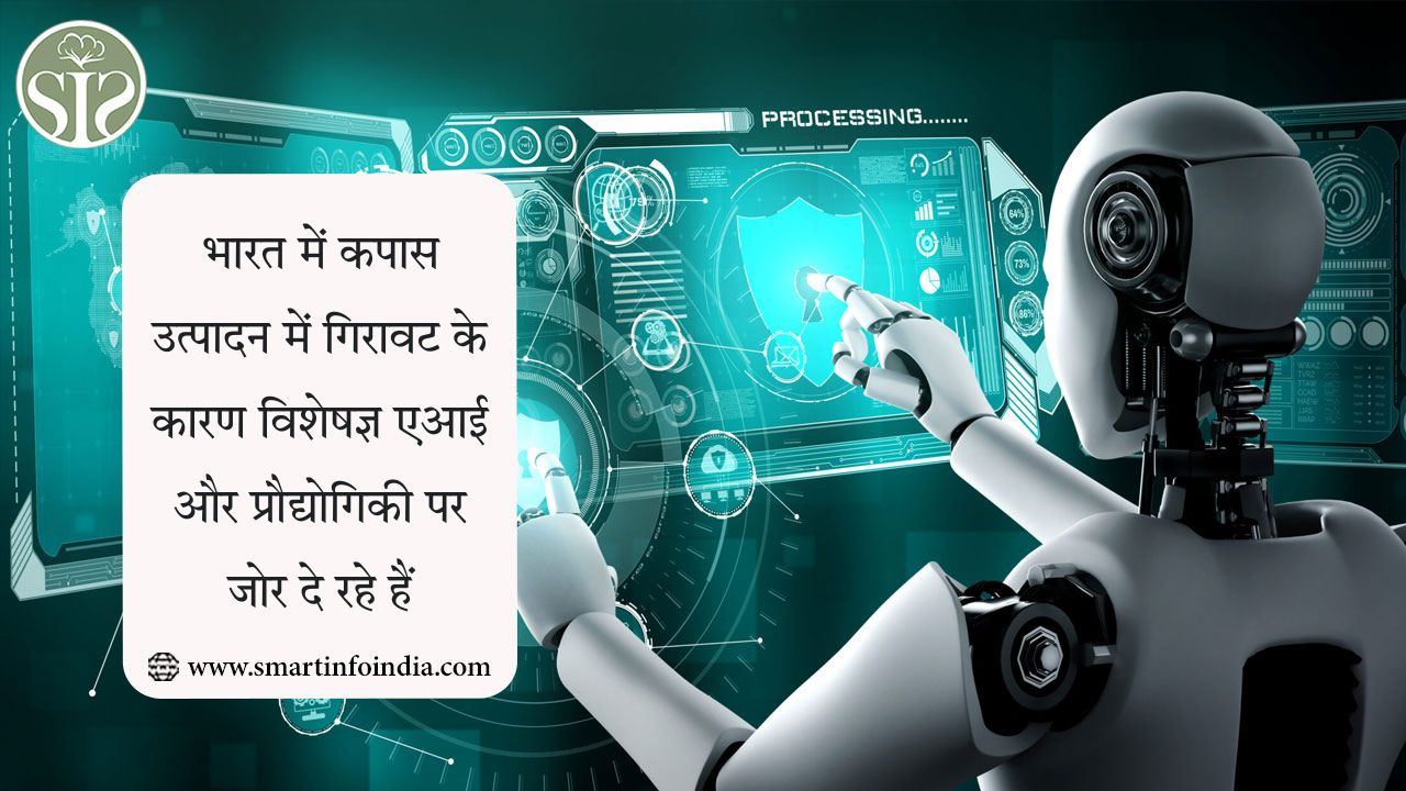 भारत में कपास उत्पादन में गिरावट के कारण विशेषज्ञ एआई और प्रौद्योगिकी पर जोर दे रहे हैं
