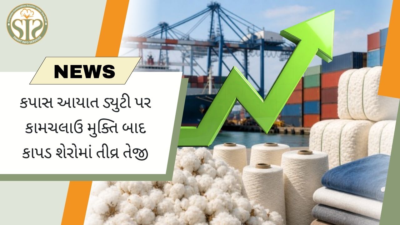 કપાસ આયાત શુલ્ક માફી બાદ ટેક્સટાઇલ શેરોમાં તેજી