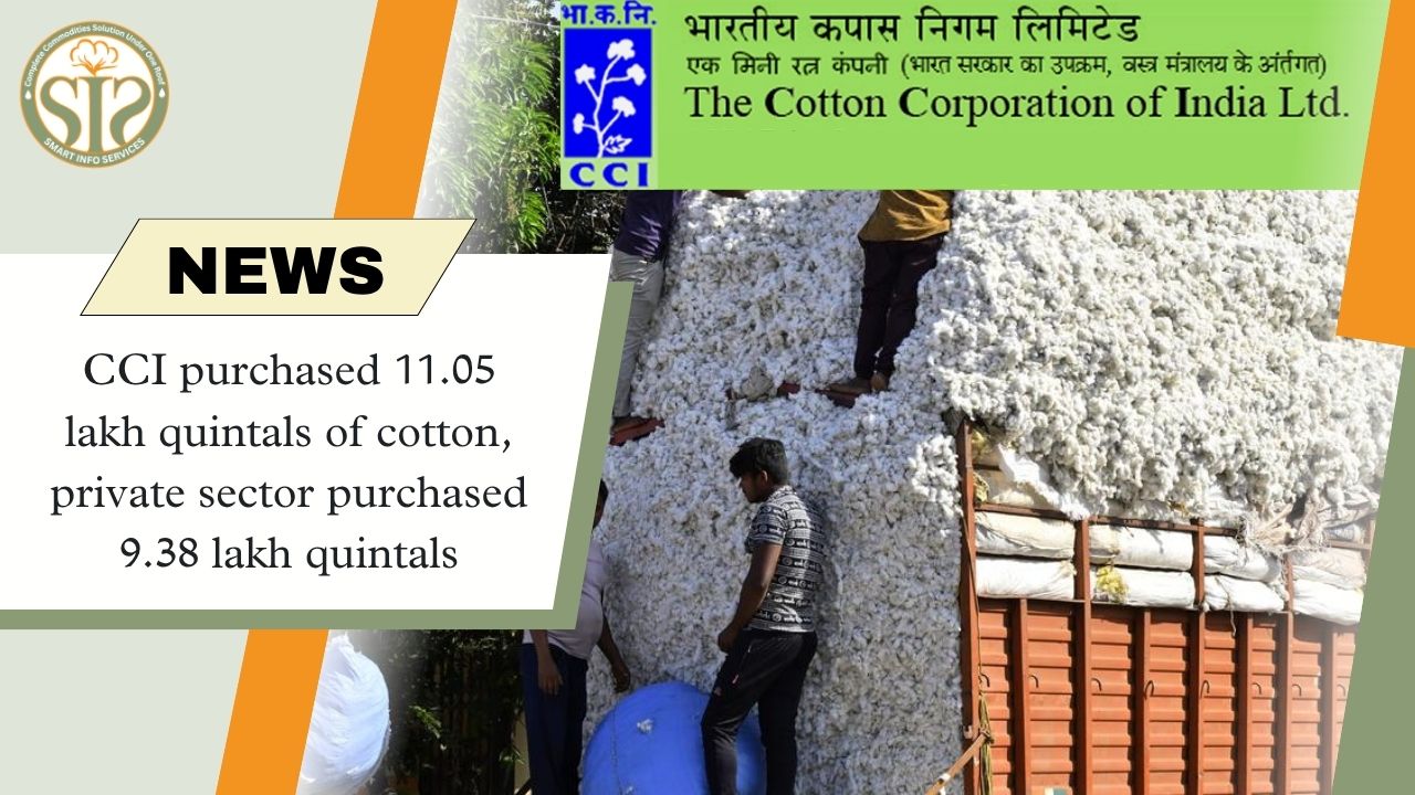 CCI Steps Up Cotton Procurement; Private Sector Also Active