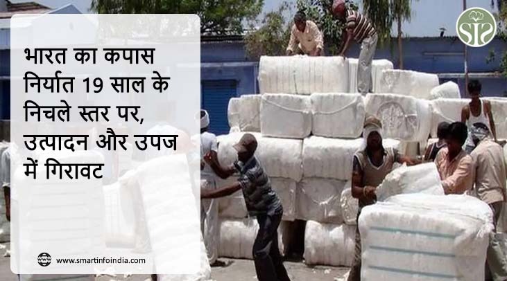 भारत का कपास निर्यात 19 साल के निचले स्तर पर, उत्पादन और उपज में गिरावट