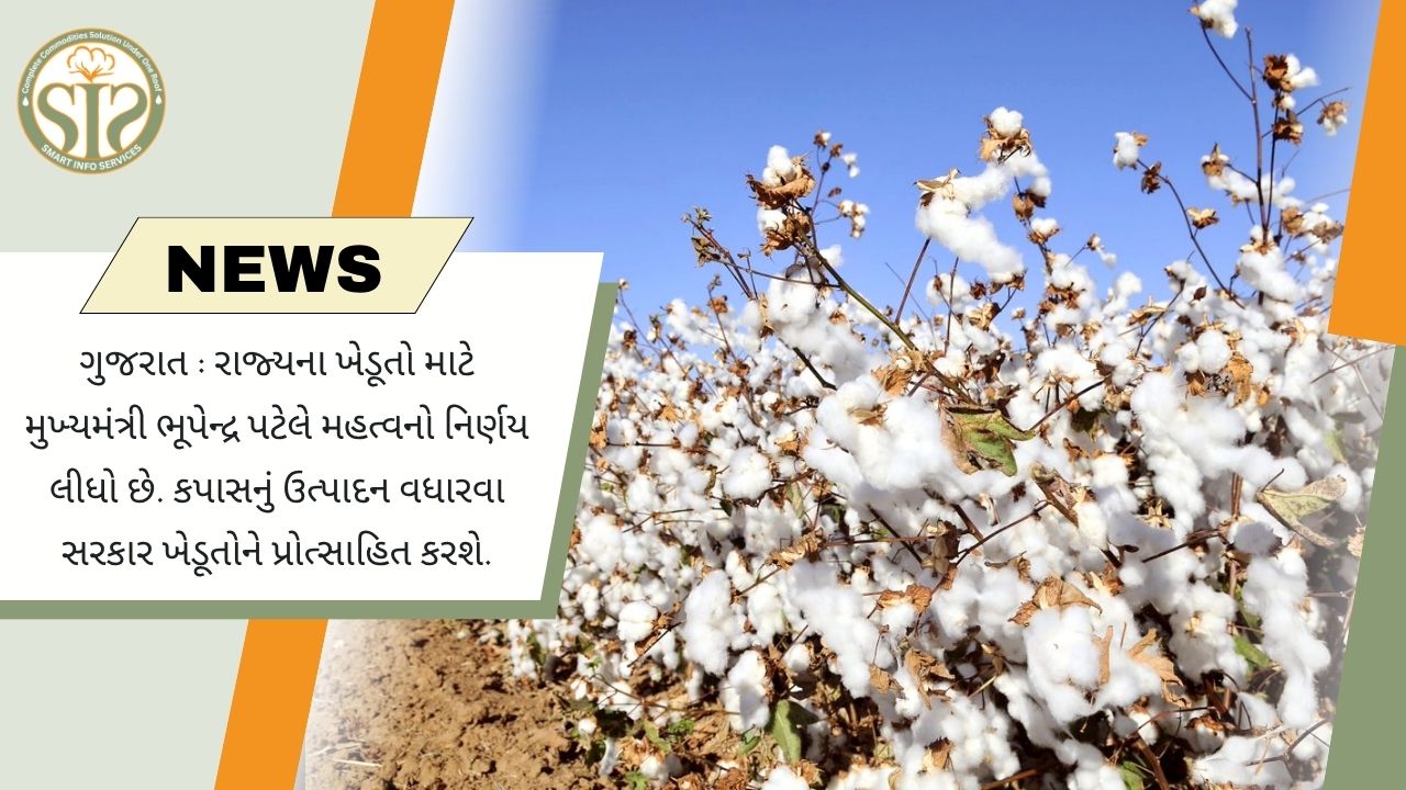 ગુજરાતનો ₹134.80 કરોડ કપાસ મિશન