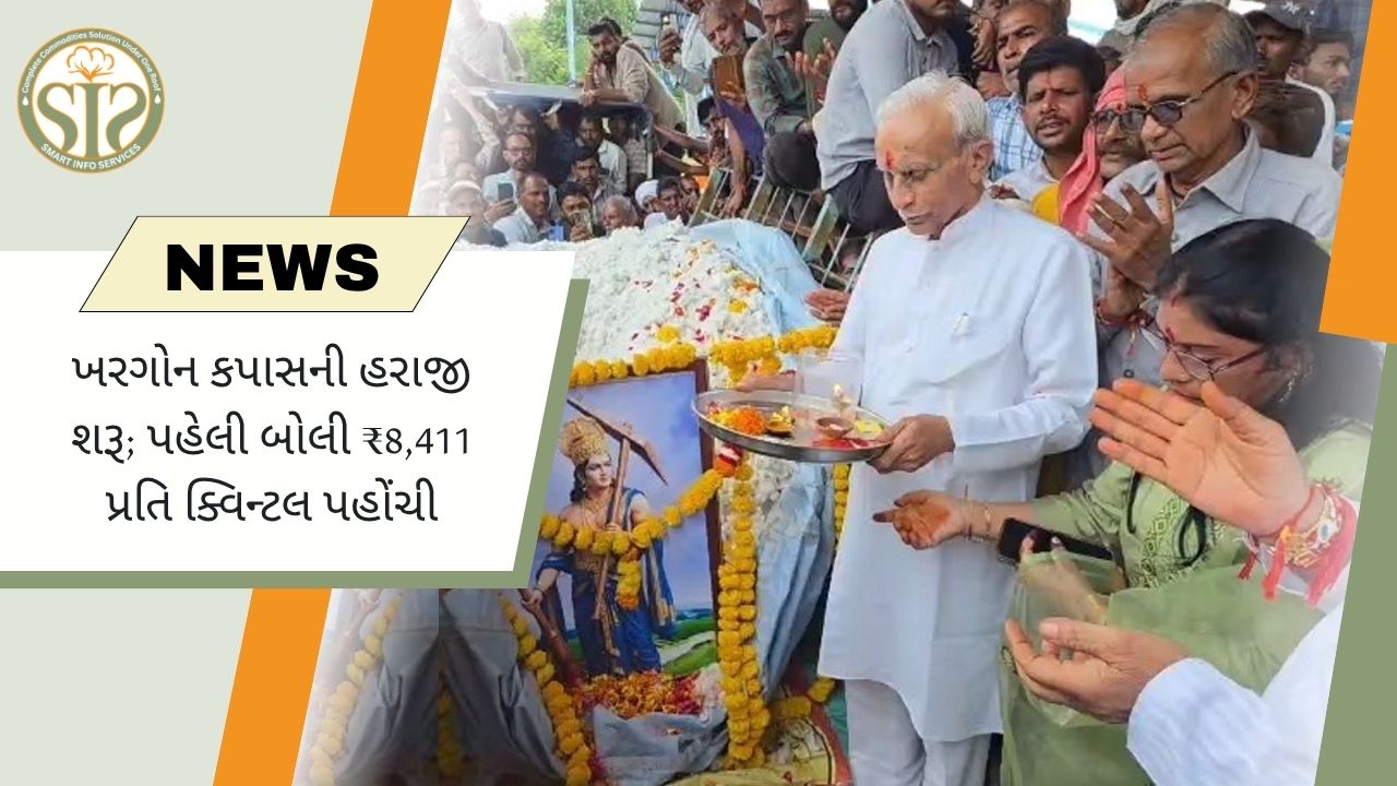 ખરગોનમાં કપાસની હરાજી ₹8,411થી શરૂ