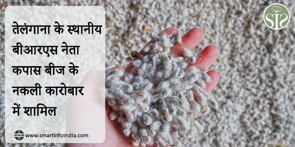 Local BRS leader of Telangana involved in fake business of cotton seed