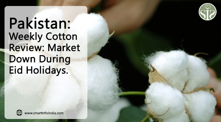 Pakistan : Weekly Cotton Review: Market down during Eid holidays