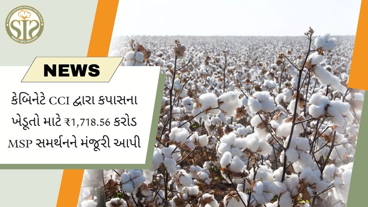 કપાસના ખેડૂતો માટે ₹1,718.56 કરોડની MSP મદદ