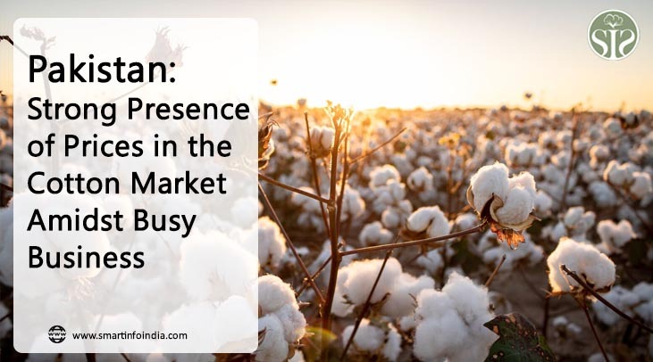 Pakistan: spot price strong amid busy trading in cotton market