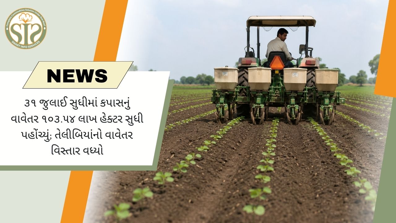 કપાસ વાવેતર 103.54 લાખ હેક્ટર