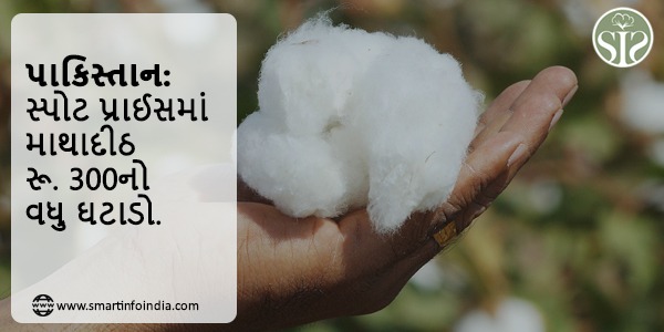 પાકિસ્તાન: હાજર ભાવમાં માથાદીઠ રૂ. 300નો વધુ ઘટાડો થયો.