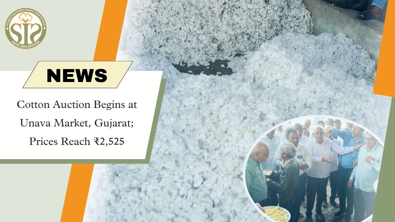 Unava Cotton Auction Opens at ₹2,525