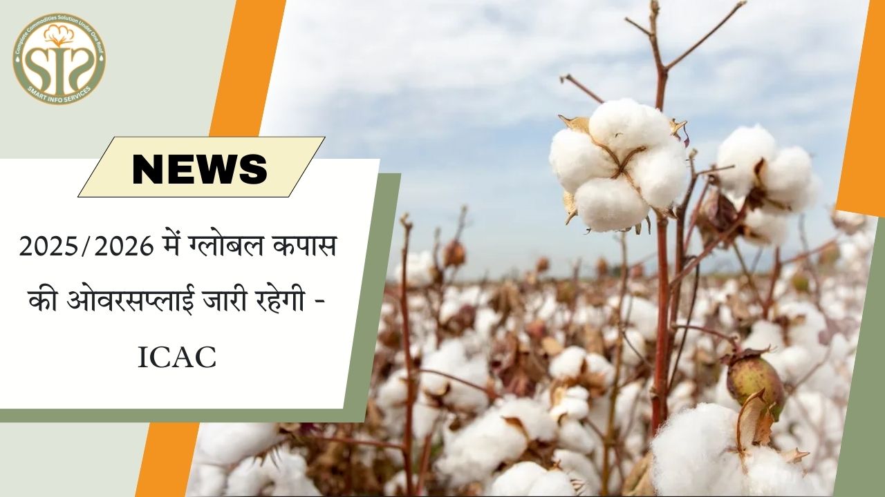2025/26 में वैश्विक कपास ओवरसप्लाई जारी: ICAC