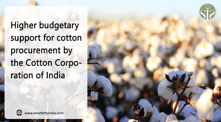 Higher budgetary support for cotton procurement by the Cotton Corporation of India