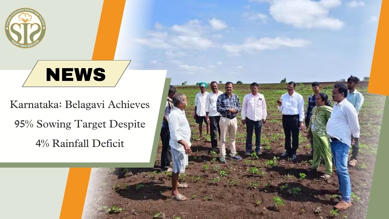 Belagavi Hits 95% Kharif Sowing