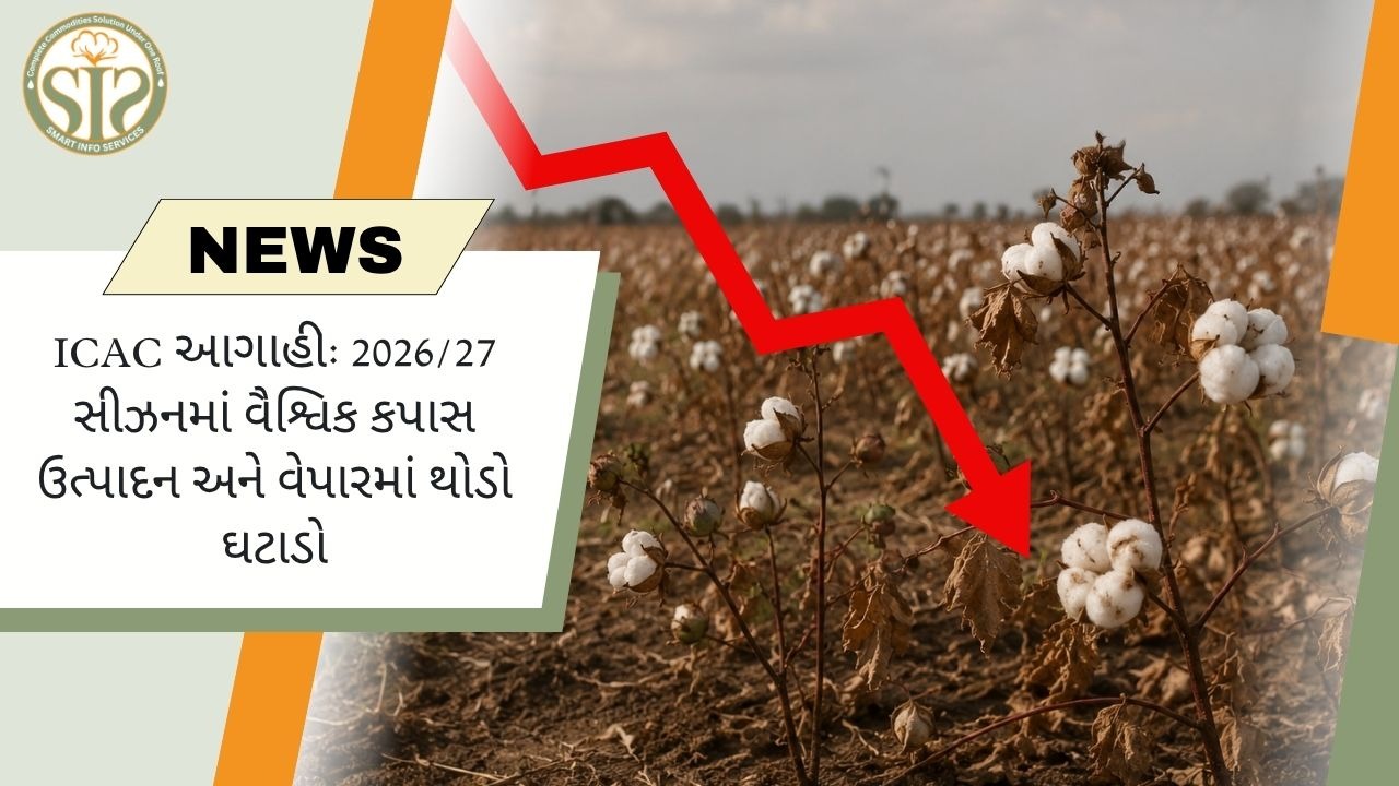 ICACએ 2026/27માં વૈશ્વિક કપાસ ઉત્પાદન ઘટવાનું અનુમાન આપ્યું