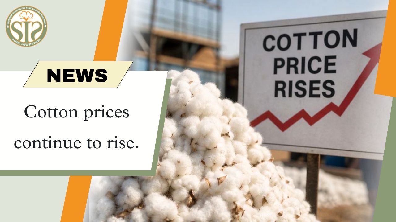 Continuous rise in cotton prices intensifies pressure on the market.