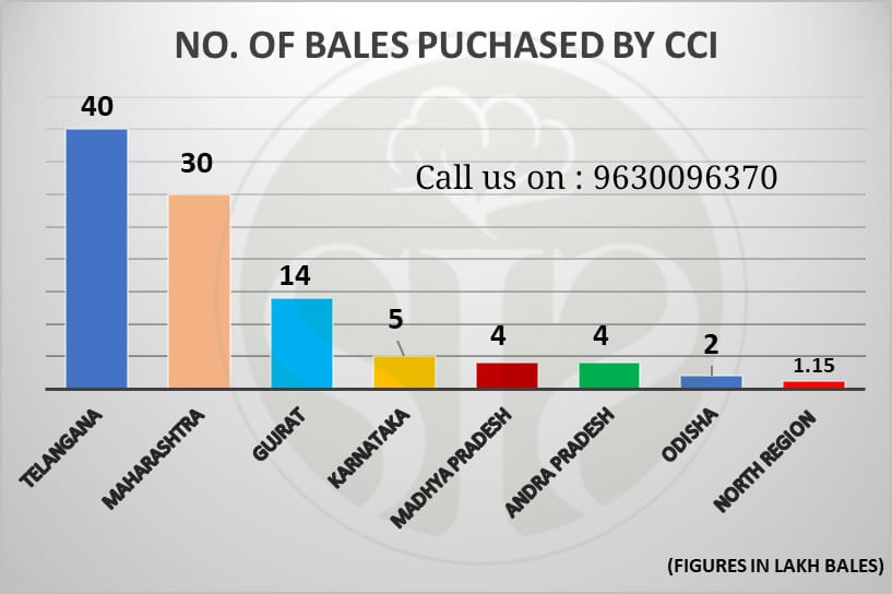 સીસીઆઈ લિમિટેડ કપાસ ખરીદી - 2024/25 (31 માર્ચ સુધી)