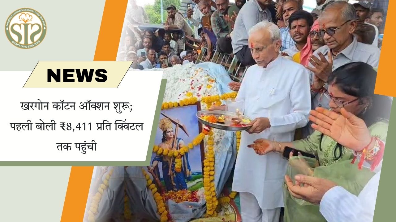 खरगोन में कपास नीलामी ₹8,411 पर शुरू