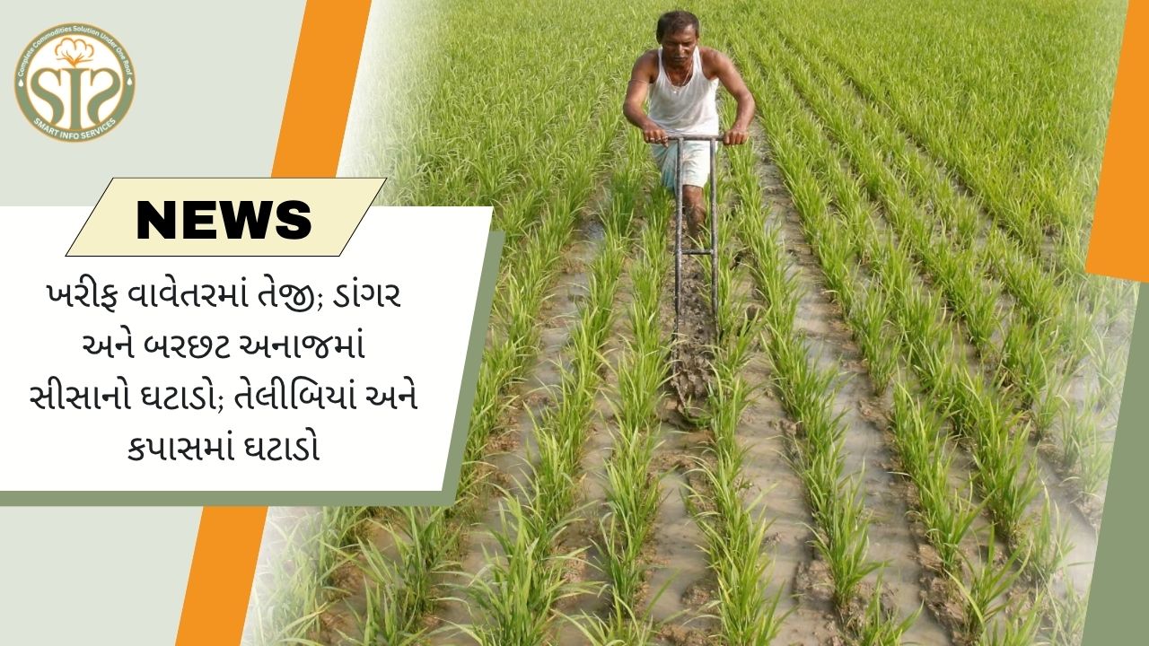 ખરીફ વાવણીમાં ઝડપ; ડાંગર અને બરછટ અનાજમાં લીડ
