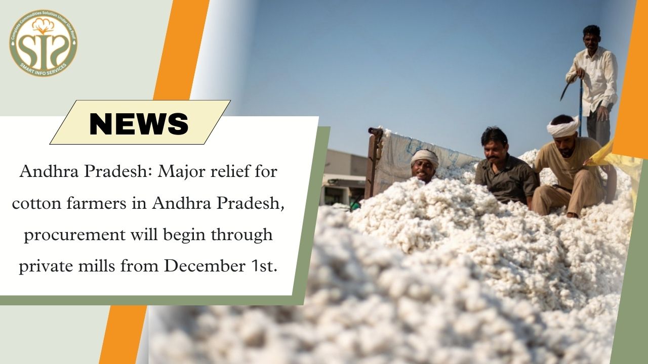 Relief for cotton farmers in Andhra: Private mills to procure from December 1