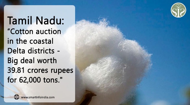 Tamil Nadu: "Cotton auction in coastal delta districts: 62,000 tonnes fetches big deal at Rs 39.81 crore"